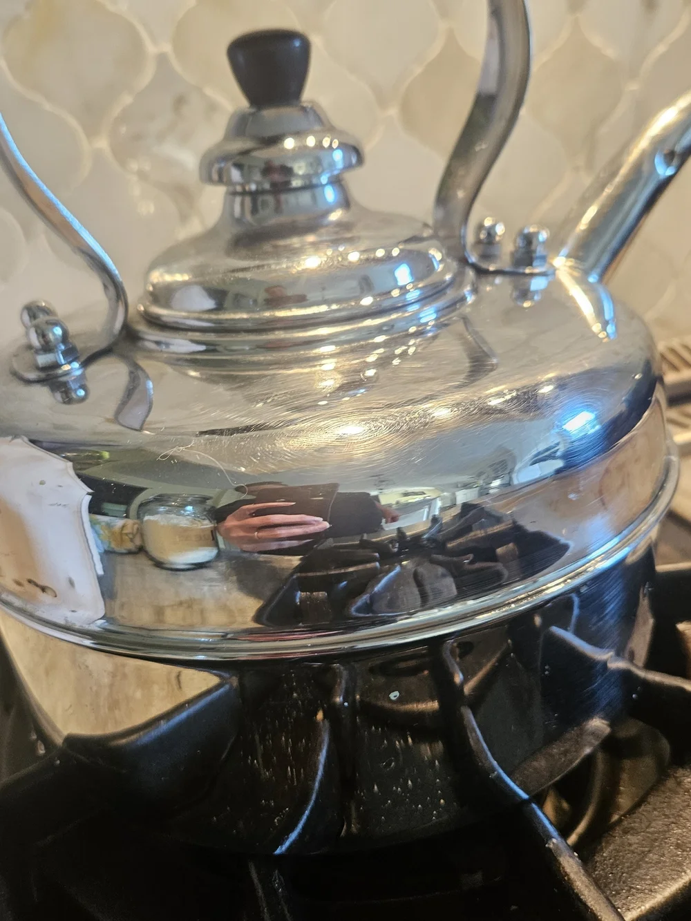 Williams Sonoma bright stainless